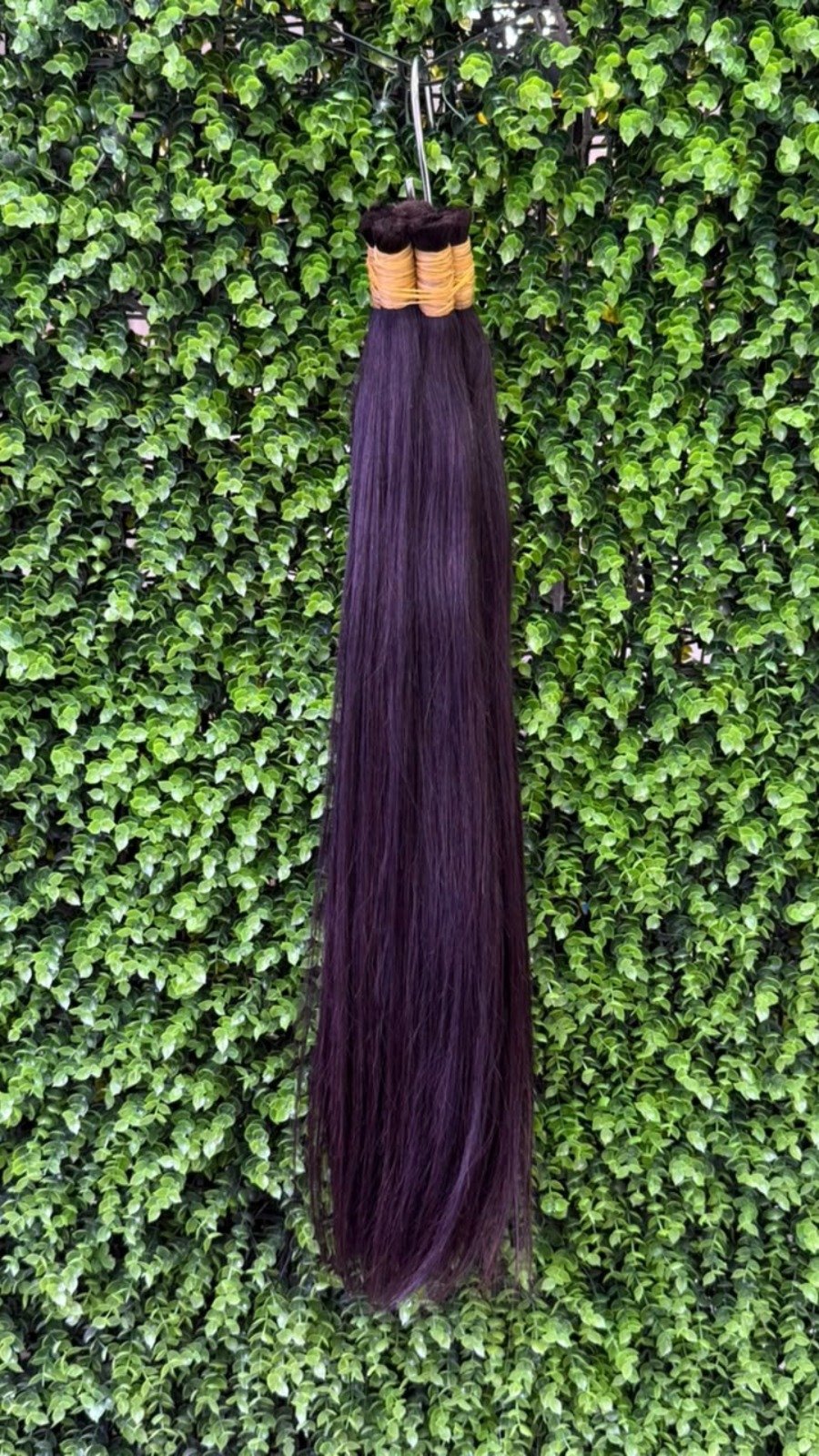 Vietnamese hair