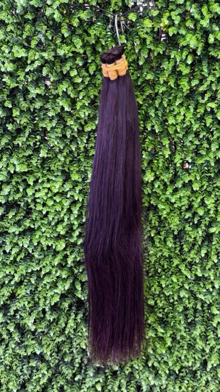 Vietnamese hair